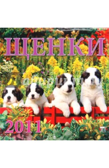 Календарь. 2011 год. Щенки (30104).