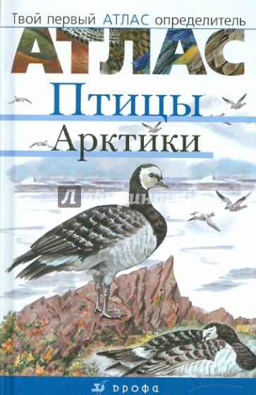 Птицы Арктики