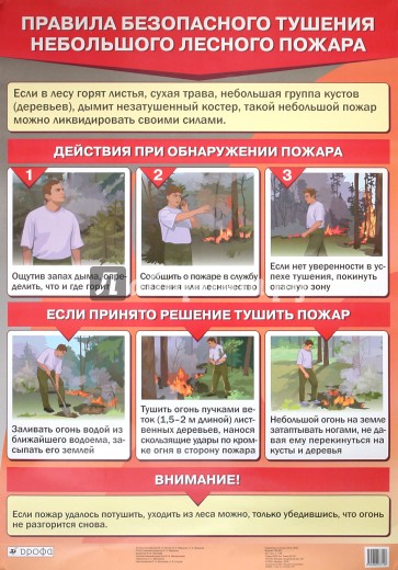 Правила безопасного тушения небольшого лесного пожара