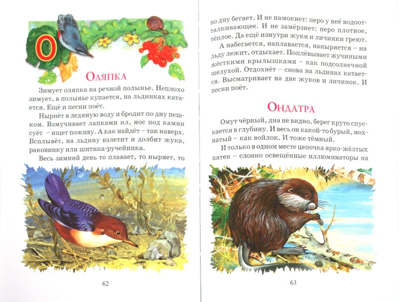 Иллюстрация 1 из 11 для Азбука леса - Николай Сладков | Лабиринт - книги. Источник: Лабиринт