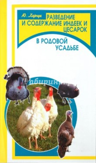 Разведение и содержание индеек и цесарок в родовой усадьбе