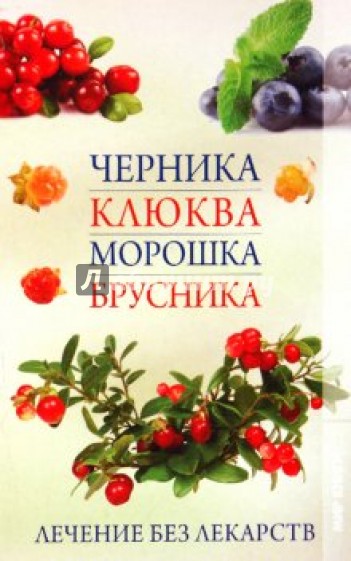 Черника, клюква, морошка, брусника: лечение без прикрас