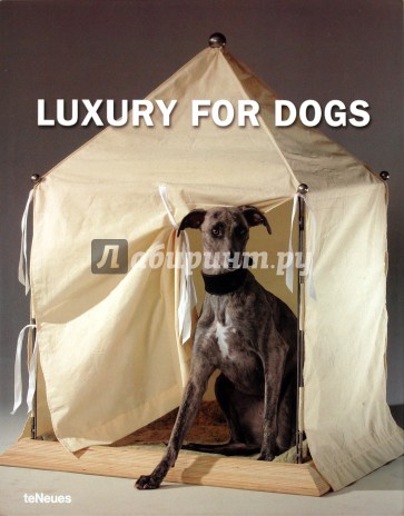 Luxury for Dogs