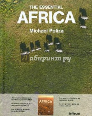 The Essential Africa