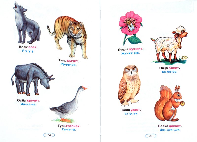 Детеныши животных картинки с названиями