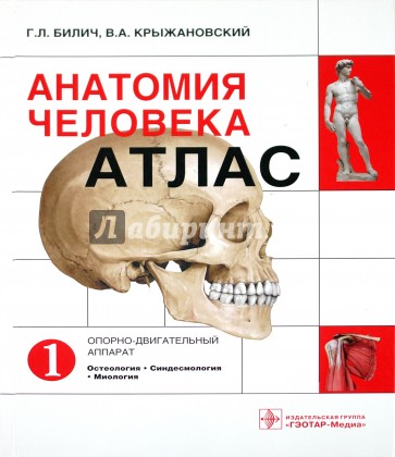Анатомия человека: атлас. В 3-х томах. Том 1. Опорно-двигательный аппарат. Остеология, Синдесмология