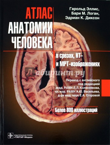 Атлас анатомии человека в срезах, КТ- и МРТ-изображениях