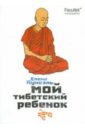 Скачать Кунсэль Мой Тибетский ребенок Факультет Увлекательный роман о поиске Бесплатно