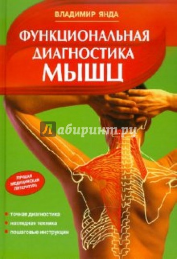 Функциональная диагностика мышц