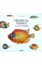 цена Fallours Samuel Tropical Fishes of the East Indies