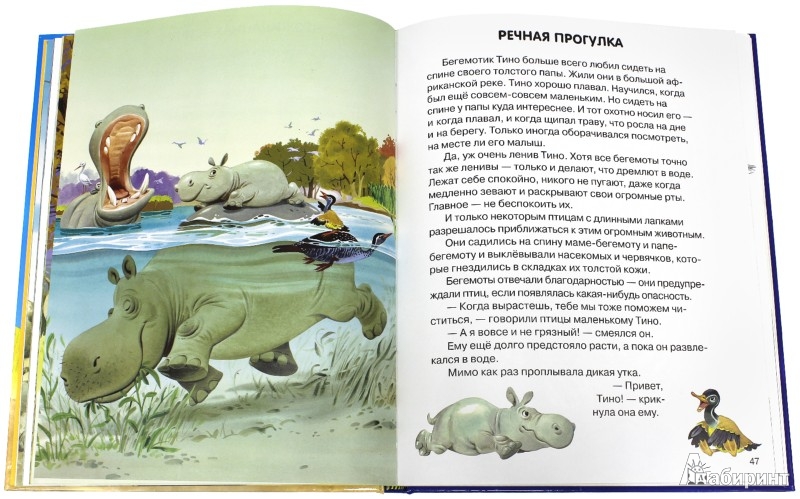 Иллюстрация № 1 к книге