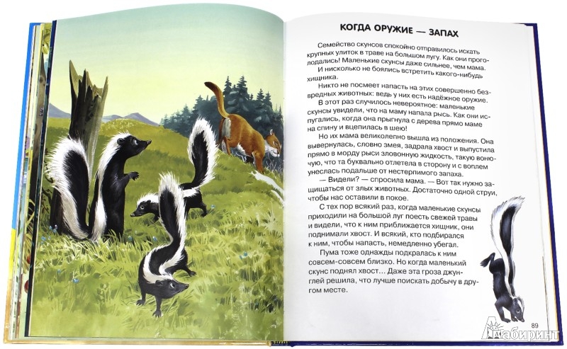 Иллюстрация № 3 к книге