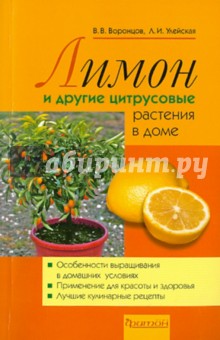 Лимон и другие цитрусовые растения в доме