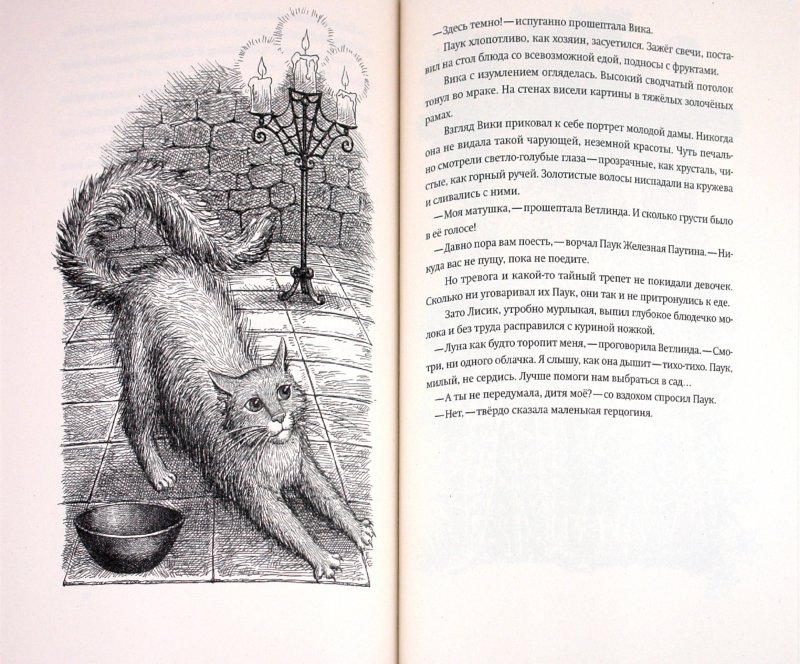 Иллюстрация 3 из 52 для Заоблачный Мастер или отравленное копье - Софья Прокофьева | Лабиринт - книги. Источник: Лабиринт