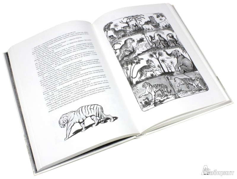 Иллюстрация 5 из 30 для Маугли - Редьярд Киплинг | Лабиринт - книги. Источник: Лабиринт