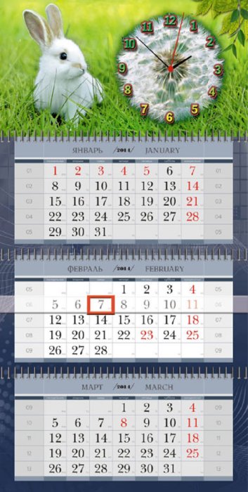 Иллюстрация 1 из 3 для Календарь 2011 квартальный "Белый и пушистый" с часами | Лабиринт - сувениры. Источник: Лабиринт