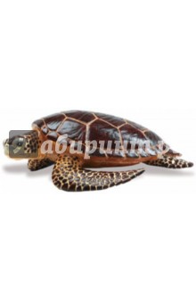 Морская черепаха (260429).