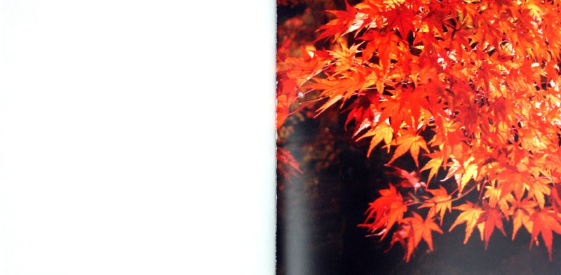 Иллюстрация 1 из 30 для Япония. Снег. Луна. Цветы...: сборник | Лабиринт - книги. Источник: Лабиринт
