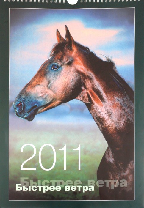 Иллюстрация 1 из 12 для Календарь 2011. "Лошади: быстрее ветра" | Лабиринт - сувениры. Источник: Лабиринт