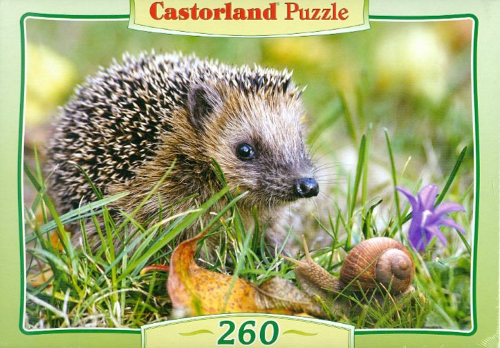 Иллюстрация 1 из 18 для Puzzle-260 "Ежик" (B-26777) | Лабиринт - игрушки. Источник: Лабиринт