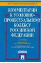 Комментарий к уголовно-процессуальному кодексу РФ (постатейный) - Ветрова Галина Николаевна, Башкатов Леонид Николаевич, Боровский Михаил Владимирович