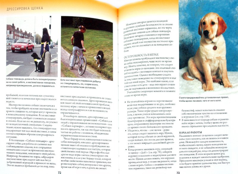 Иллюстрация 1 из 15 для Дрессировка и воспитание щенка. Как воспитать идеальную собаку, используя уникальную методику - Джулия Барнс | Лабиринт - книги. Источник: Лабиринт