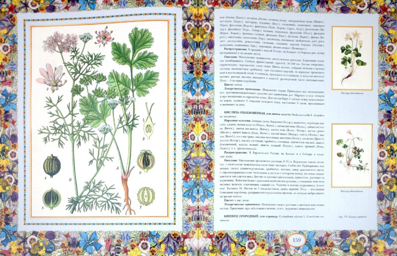 Иллюстрация 3 из 8 для Русский травник | Лабиринт - книги. Источник: Лабиринт