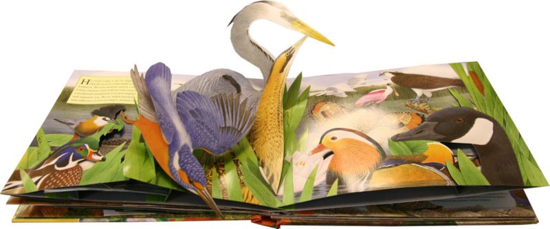 Иллюстрация 2 из 3 для Птицы - Вэл Дейвис | Лабиринт - книги. Источник: Лабиринт