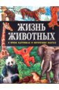 цена Поуп Джойс Жизнь животных в ярких картинках и интересных фактах