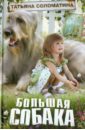 Соломатина Татьяна Юрьевна Большая собака