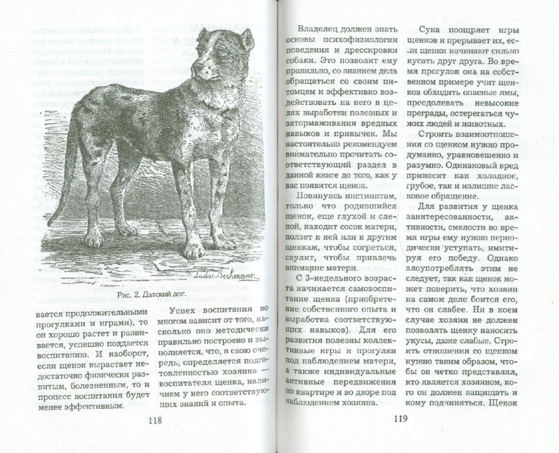Иллюстрация 1 из 7 для Как правильно дрессировать собак - Виталий Давыденко | Лабиринт - книги. Источник: Лабиринт