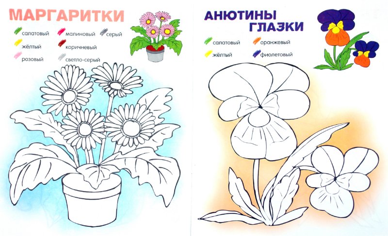 Иллюстрация 1 из 21 для Книжка-раскраска "Цветы" | Лабиринт - книги. Источник: Лабиринт