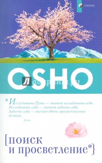 Поиск и Просветление (мяг.)