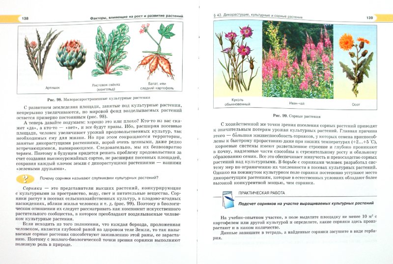 Иллюстрация 1 из 34 для Биология. Растения, бактерии, грибы, лишайники. 6 класс. Учебник - Трайтак, Трайтак | Лабиринт - книги. Источник: Лабиринт