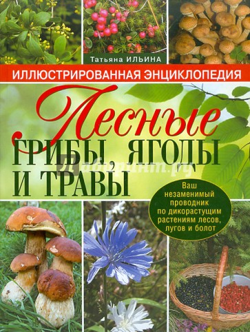 Лесные грибы, ягоды и травы