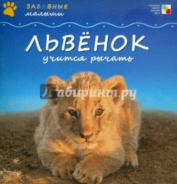 Львенок учится рычать