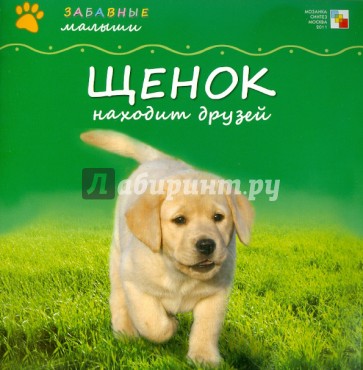Щенок находит друзей