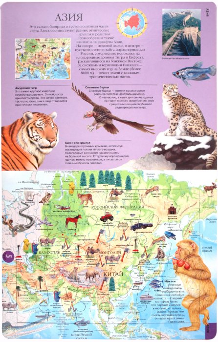 Иллюстрация 3 из 19 для Атлас животных с пазлами | Лабиринт - книги. Источник: Лабиринт