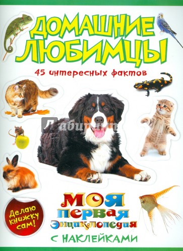 Домашние любимцы