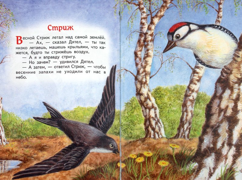 Иллюстрация 1 из 34 для Сказки-малютки - Геннадий Цыферов | Лабиринт - книги. Источник: Лабиринт