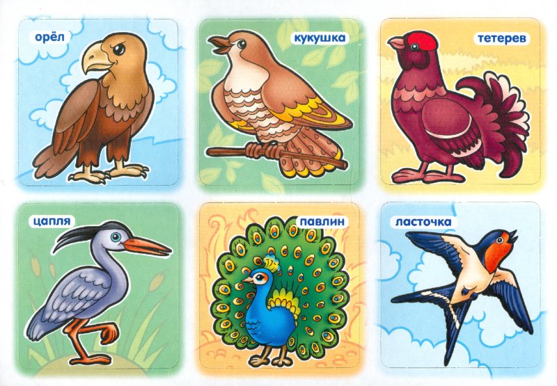 Иллюстрация 1 из 18 для Развивающая игра-лото для детей 3-5 лет "Птицы" (05262) | Лабиринт - игрушки. Источник: Лабиринт