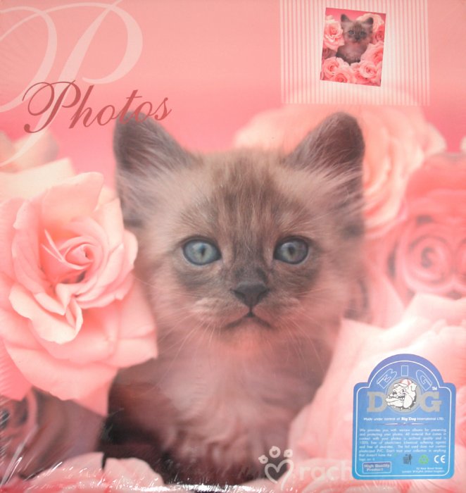 Иллюстрация 1 из 8 для Фотоальбом на 500 фотографий "Lovely kittens", в ассортименте (AV46500) | Лабиринт - сувениры. Источник: Лабиринт