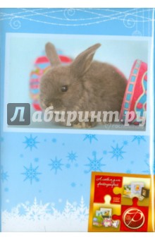   100   Winter rabbits  (LM-4R100CPPM)