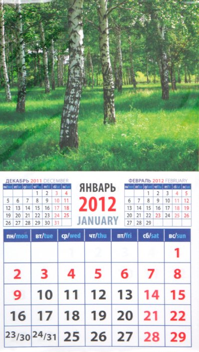 Иллюстрация 1 из 3 для Календарь на 2012 год. "Березы" (20215) | Лабиринт - сувениры. Источник: Лабиринт