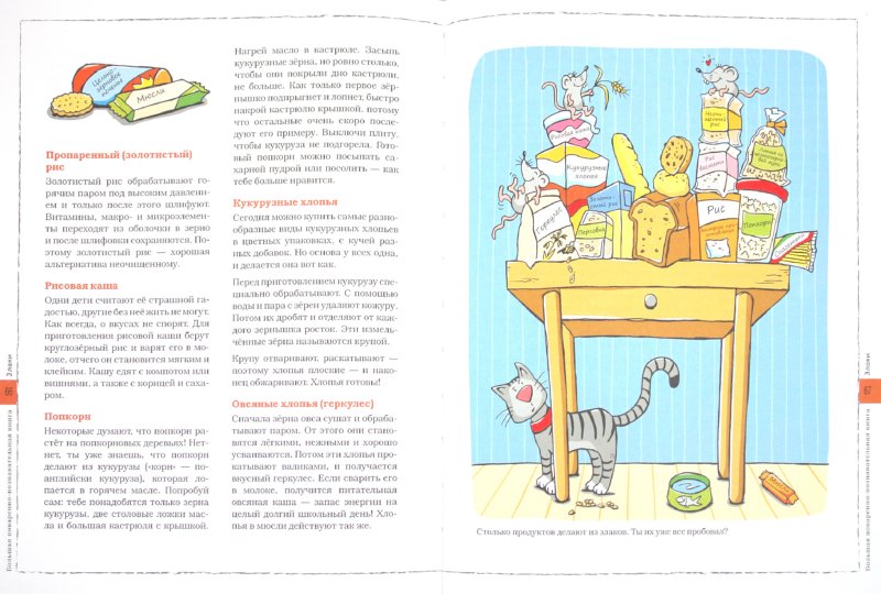 Иллюстрация 1 из 15 для Маленький повар - Флото-Штаммен, Вагнер | Лабиринт - книги. Источник: Лабиринт