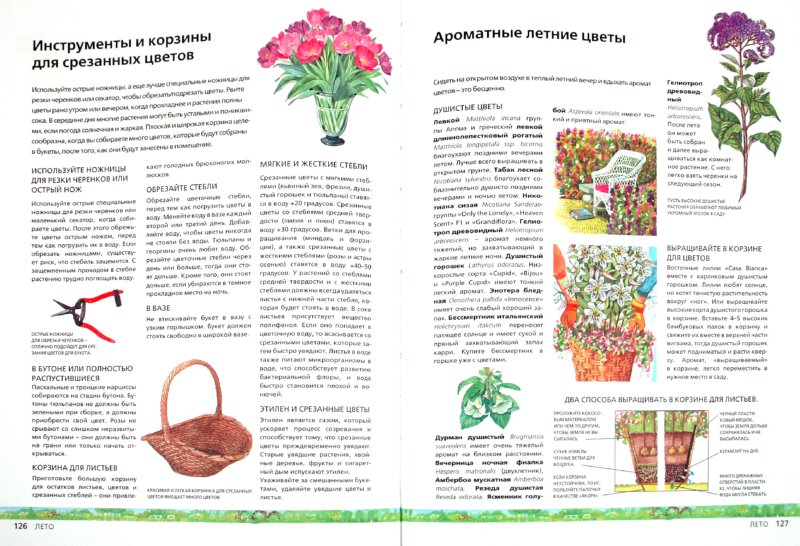 Иллюстрация 1 из 14 для Все сезоны садоводства - Ева Реннблум | Лабиринт - книги. Источник: Лабиринт