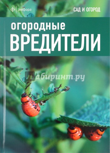 Огородные вредители