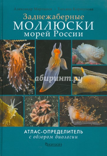 Моллюски морей России