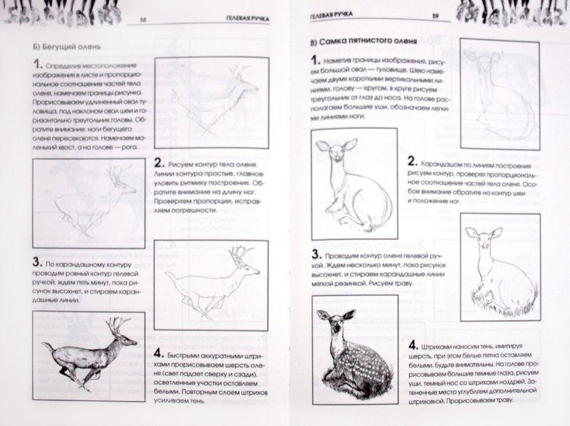 Иллюстрация 1 из 5 для Рисуем животных - Алла Марковская | Лабиринт - книги. Источник: Лабиринт