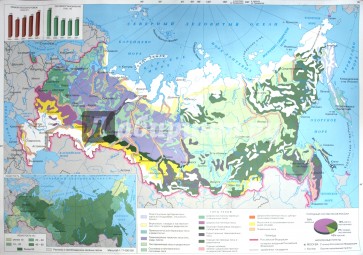 Лесные ресурсы Россиии